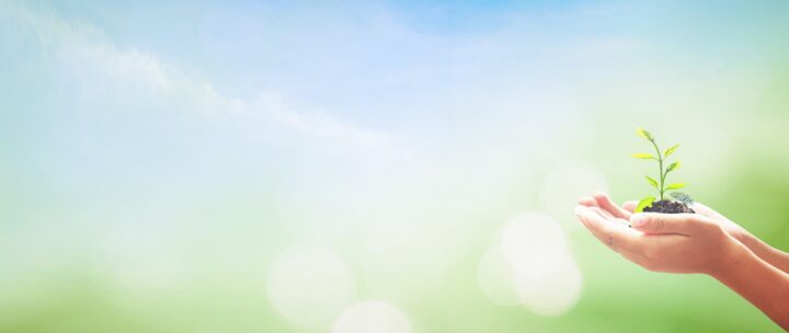 フミン酸・フルボ酸と硫黄・塩の効果|根の成長と病害防除の画像