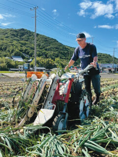  落合さんのタマネギ2