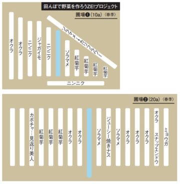 清田さんの圃場簡略図