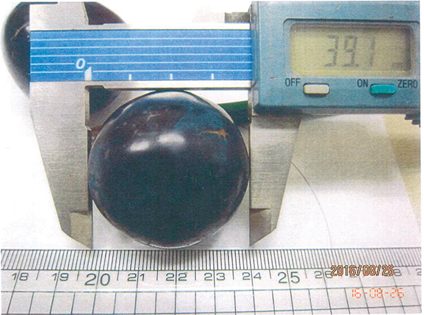 宮川さんの長野パープル