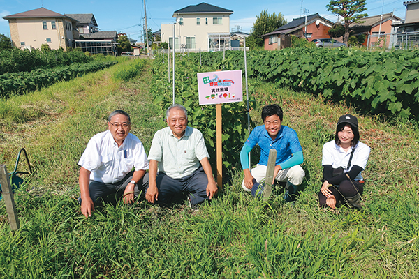 水田転作のポイント教えます!省力多品目栽培のすすめの画像